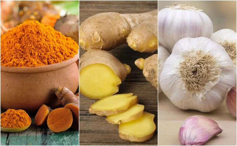 What Are The Best Natural Antibiotics?