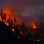 Wildfire in southern France rages as firefighters battle for control