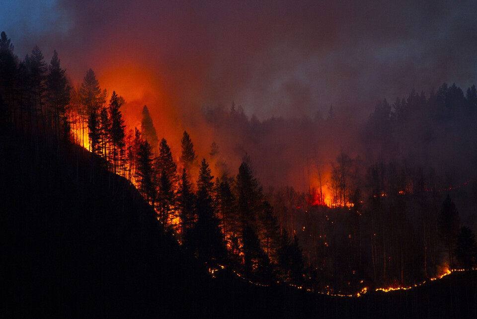 Wildfire in southern France rages as firefighters battle for control